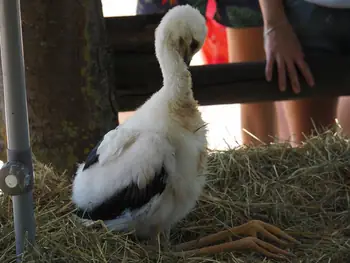 NaturOparC Hunawihr, Alsace (France)